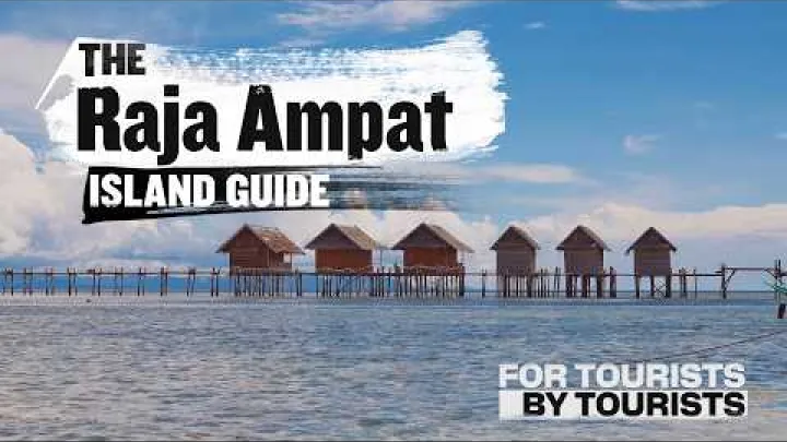 Preview image for the video "Průvodce po ostrovech Raja Ampat v oblasti Papua, Indonésie, od turistů pro turisty | Ep. #12 | Co musíte vědět".