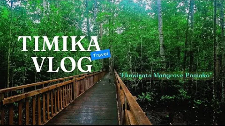 Preview image for the video "ティミカ VLOG || ポマコ・マングローブ・エコツアー、ティミカ_ ティミカ観光 #travel #wisata".