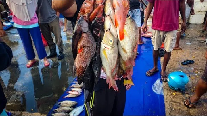 Preview image for the video "Nákup ryb na trhu Jembatan Puri v Sorong, Papua, Indonésie – mám štěstí, za 100 tisíc jsem dostal hodně".