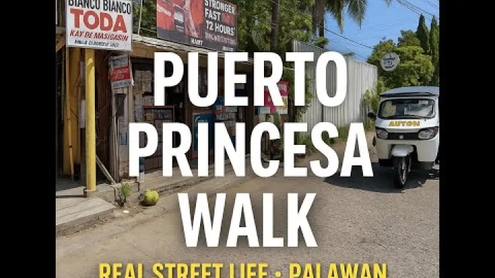 Preview image for the video "Spacer po Puerto Princesa, Palawan | Odkrywanie ulic w drodze powrotnej do naszego hotelu 🇵🇭".