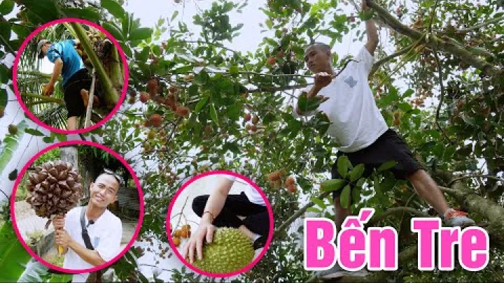 Preview image for the video "Tabt i frugthaverne i Châu Thành Bến Tre, Vietnam, Mekongdeltaet - Pluk den frugt du vil".