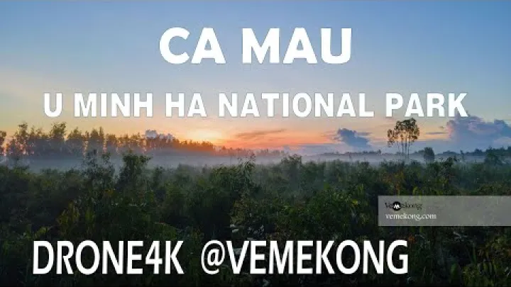 Preview image for the video "پارک ملی یو مین ها نمای روز و شب مکونگ دلتا ویتنام I راهنمای سفر کا ماو I Vemekong.com".