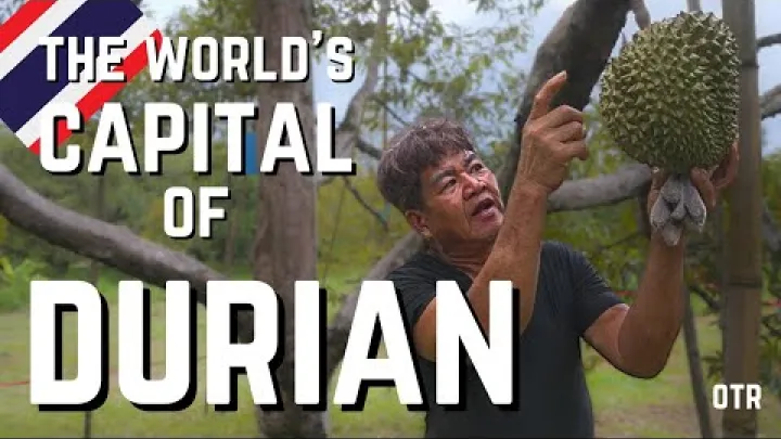 Preview image for the video "Come una provincia della Thailandia rifornisce il pianeta di durian".