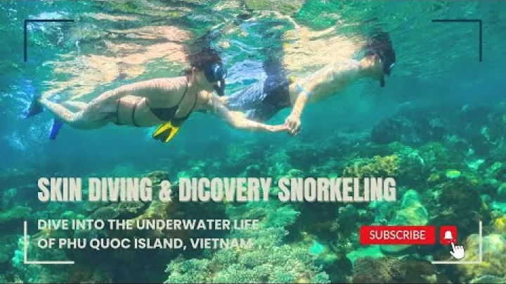 Preview image for the video "Phu Quoc Marine Life Discovery Snorkeling | ONBIRD EXPERIENCE".