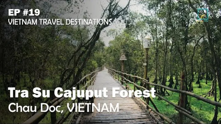 Preview image for the video "Tra Su Cajuput-skogen i Chau Doc, Vietnam | EP #19 Vietnam Travel Destinations".