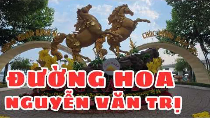 Preview image for the video "Alla scoperta della via dei fiori Nguyễn Văn Trị a Biên Hòa 2026 🌸 Check-in per il Tết splendente a Đồng Nai | Andiamo".