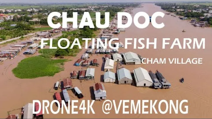 Preview image for the video "Chau Doc flytande by - Fiskodling - Cham-folket | Mekongdeltat | An Giang reseguide | Vemekong.com".