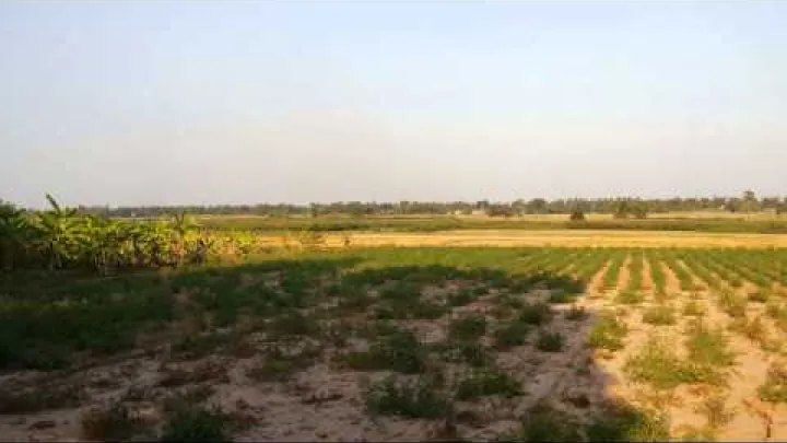 Preview image for the video "Mandhari ya Kisiwa cha Koh Trong, Kambodia ya Mashariki, Kamboja".