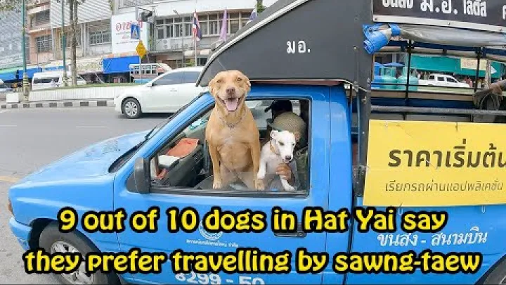 Preview image for the video "Unterwegs in Hat Yai mit Songthaews".