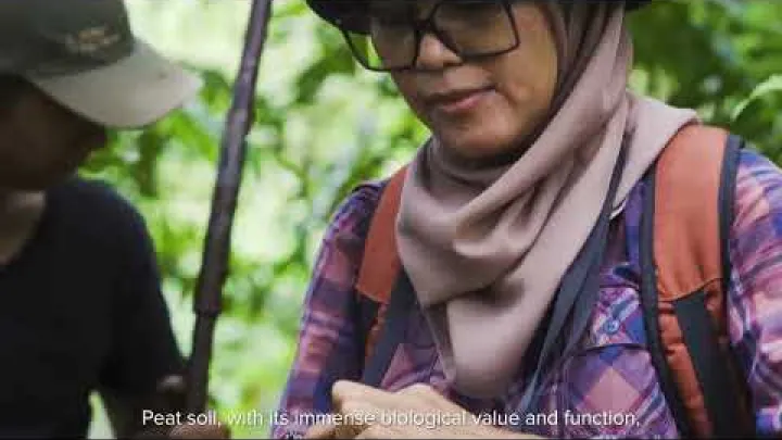 Preview image for the video "Vietnam: Fighting Fires and Protecting U Minh Ha | Peatland Tales".