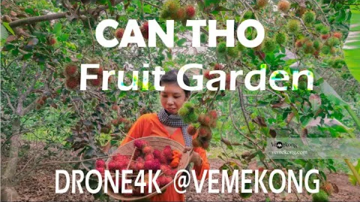 Preview image for the video "Ovocné zahrady a skryté poklady v Can Tho, Delta Mekongu, Vietnam | Průvodce po Can Tho | Vemekong.com".