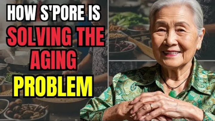 Preview image for the video "Wie Singapur mit einer alternden Bevölkerung umgeht – Lehren für die Welt.".