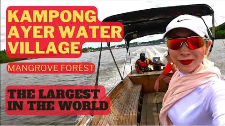 Preview image for the video "Nini cha kufanya huko Brunei? Kijiji cha Maji cha Kampong Ayer na Misitu ya Mikoko! Vlog ya Mwongozo wa Usafiri".