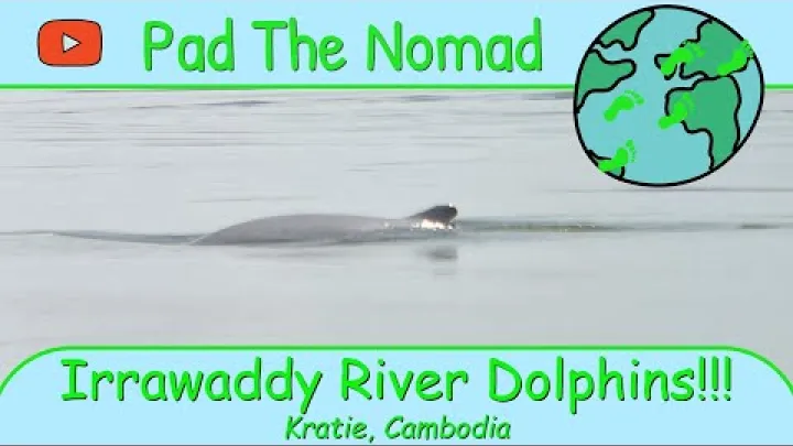 Preview image for the video "ဧရာဝတီမြစ် ဒိုဖင်း လင်းပိုင်များ!!! - ကရာချဲ (ကမ္ဘောဒီးယားနိုင်ငံ ခရီးသွား ဗီဒီယိုဘလော့ #5)".