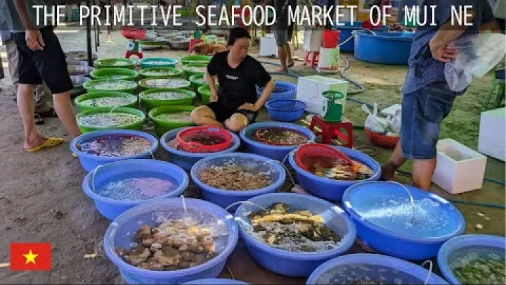 Preview image for the video "Tur al pieței de fructe de mare în aer liber - Phan Thiet, Vietnam".