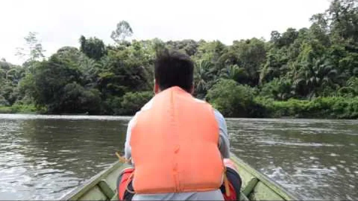 Preview image for the video "तेम्बुरोंग जिला (ब्रुनेई)".