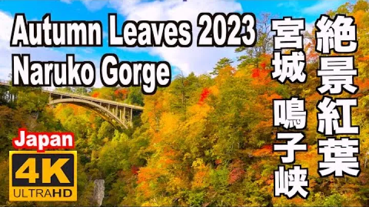Preview image for the video "Follaje otoñal de 2023 en el desfiladero de Naruko | Turismo en Naruko, famoso lugar para contemplar el follaje otoñal, turismo en Miyagi, follaje otoñal de Tohoku, ciudad de Osaki, desfiladero, aguas termales de Naruko".