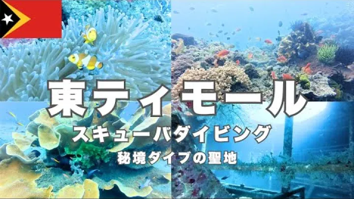 Preview image for the video "【秘境水肺潜水】东帝汶海底绝景！在亚洲最后的秘境享受日夜两潜，为您奉上色彩斑斓的珊瑚与鱼群带来的治愈影像".