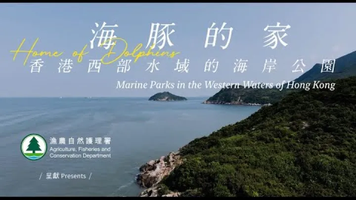 Preview image for the video "Home of Dolphins - Marine Parks in the Western Waters of Hong Kong".