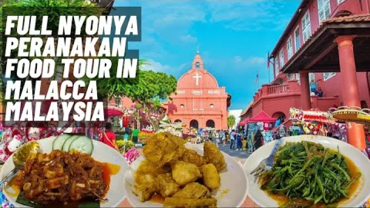 Preview image for the video "Úplný gastrovýlet za jídlem Nyonya Peranakan v destinaci Malakka, Malajsie, Malakka 马六甲美食之旅 马来西亚 Street Food Best".