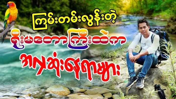 Preview image for the video "Najpiękniejsze miejsca w dżungli Bago Yoma ###Myanmar Adventure Traveler".
