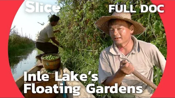 Preview image for the video "Tasik Inle: Tempat Perlindungan Tradisi Myanmar dan Alam Semula Jadi yang Subur | SLICE | DOKUMENTARI PENUH".