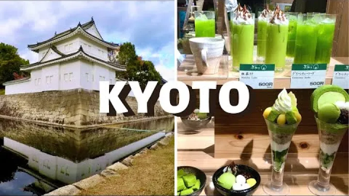 Preview image for the video "Kyoto-opas, päivä 3 / Nishiki-markkinat, Nijōn linna, maksuton kierros keisarillisessa palatsissa / Japanin matkavlogi".