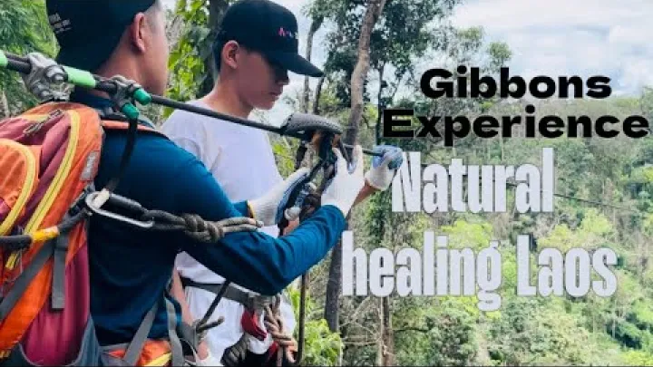 Preview image for the video "Nejlepší dobrodružství v provincii Bokeo na severu Laosu #travel #gibbons".