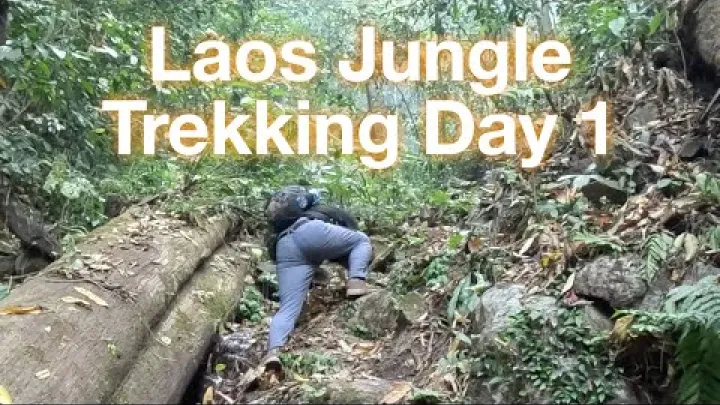 Preview image for the video "Laos Nam Ha NPA Trekking w dżungli Dzień 1 | Luang Namtha".
