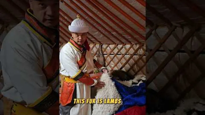Preview image for the video "DEEL -Mongolian Traditional Costume Have you ever worn a deel?.#Mongolians #deel".