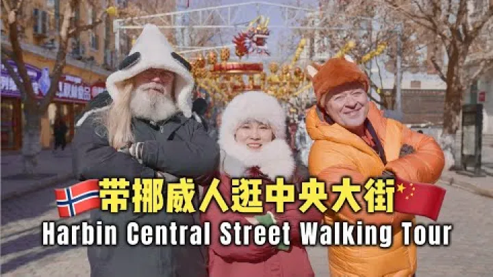 Preview image for the video "Procházka po nejdelší pěší ulici v Asii | Centrální ulice v Harbinu🚶‍♀️🚶".