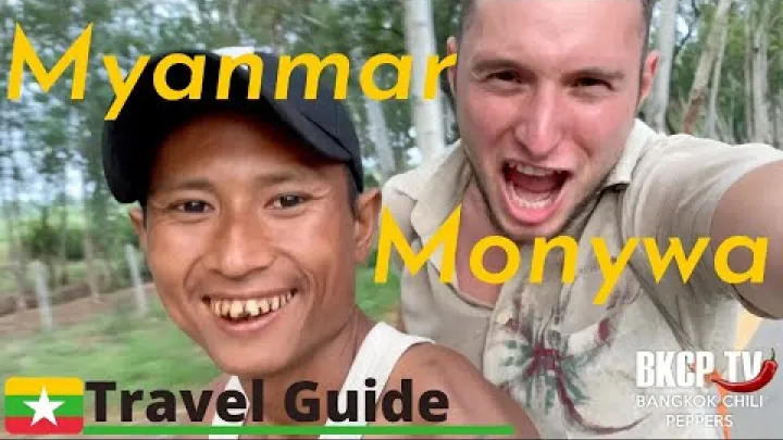 Preview image for the video "🇲🇲 Myanmar, Monywa. Discover Laykyun Sekkya, the Giant Buddha.".