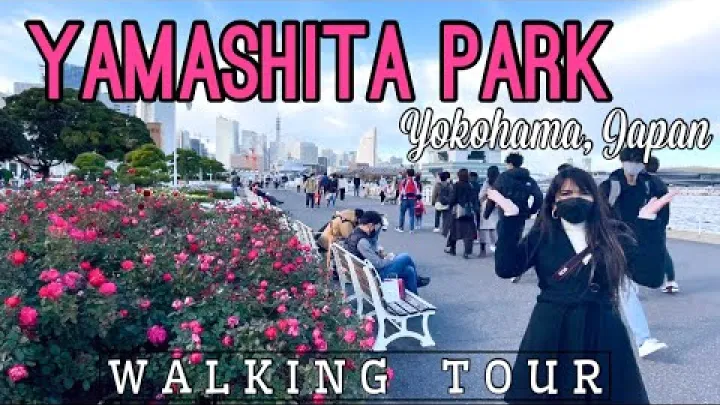 Preview image for the video "Tur pietonal în Parcul Yamashita | Yokohama, Japonia".