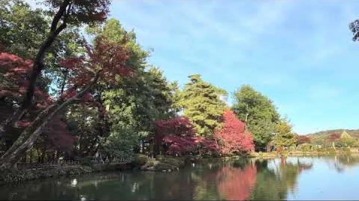 Preview image for the video "Jeden z 3 najlepszych ogrodów w Japonii: staw Kasumigaike w ogrodzie Kenrokuen w Kanazawa odbija zachwycające jesienne barwy".