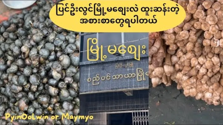 Preview image for the video "မြို့မစျေး ခေါ် စျေးကြီး (Myoma Market, MayMyo)".