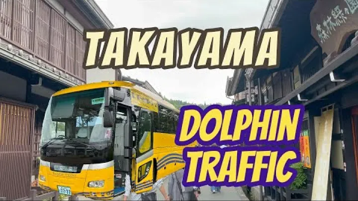 Preview image for the video "[Moottoritiebussi] Takaokasta/Tonamista Shirakawa-goon ja Takayamaan. Kolina→Täysi [Delfiiniliikenne]".