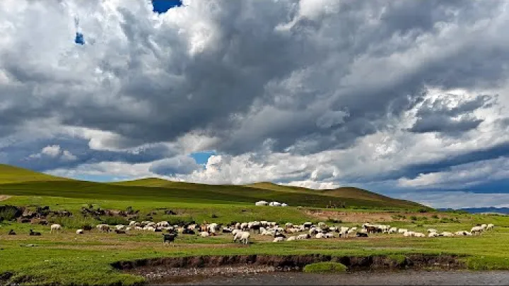 Preview image for the video "Mongolia 2025".