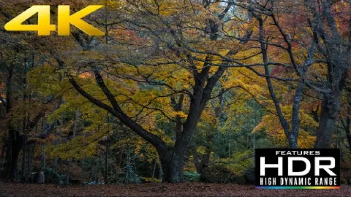 Preview image for the video "🍂 ✨ Nagasaki县隐秘的秋日秘境（Nagasaki）ASMR [4K HDR]".