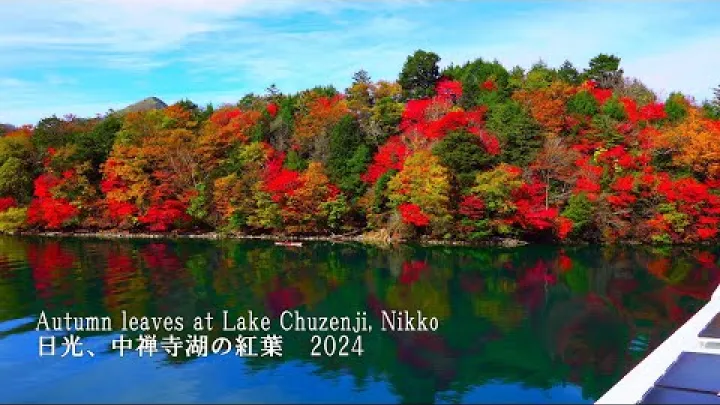 Preview image for the video "Nikkō ရှိ ချူဇင်ဂျီရေကန်တွင် အပျော်စီးရင်း ဆောင်းဦးသစ်ရွက်များကို ခံစားပါ။".