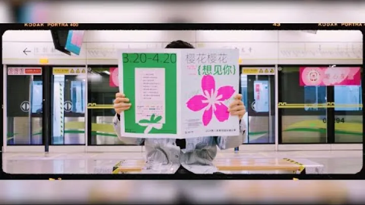 Preview image for the video "شکوفه‌های گیلاس در شی‌آن".