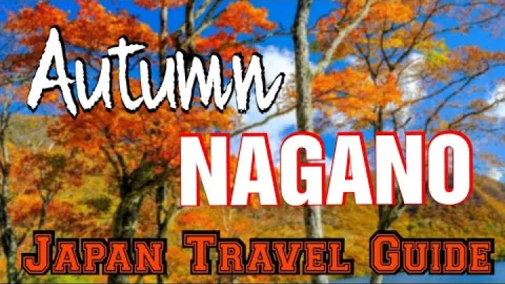 Preview image for the video "नागानो में शरद ऋतु की पत्तियों का सौंदर्य/मोमिजिगारी/ Japonija में शरद ऋतु".
