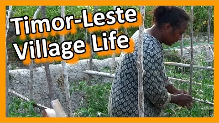 Preview image for the video "Timor-Leste - Baucau - Vida numa Aldeia Rural".