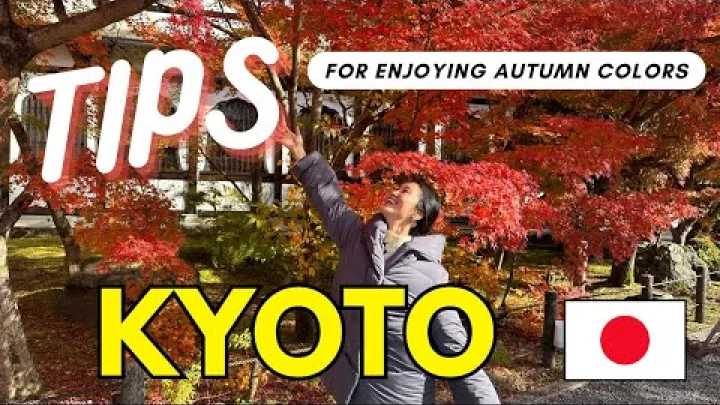 Preview image for the video "Gullna árstíðin í Kyoto: Leiðarvísir að bestu stöðunum til að sjá haustlitina".