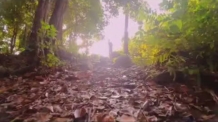 Preview image for the video "Vlog Pendakian Sinematik: Terokai Bukit Patoi, Hutan Simpan Peradayan, Temburong, Brunei".