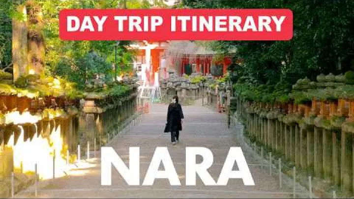 Preview image for the video "Nara পার্কে আদর্শ এক দিনের ভ্রমণ 🦌 এক দিনের ভ্রমণসূচি".