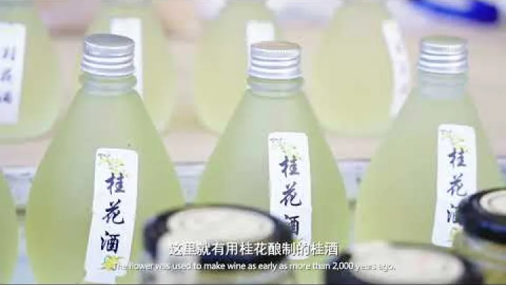 Preview image for the video "Moje příběhy z Hangzhou: Déšť sladce vonícího osmanthu ve vesnici Manjuelong".