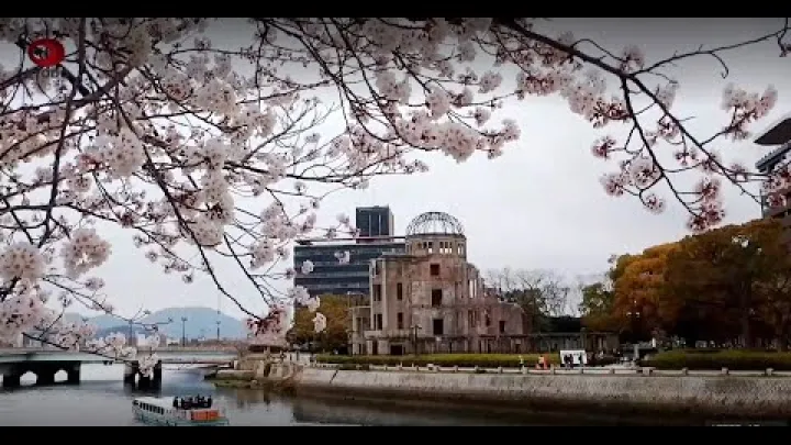 Preview image for the video "히로시마시 평화기념공원의 벚꽃".