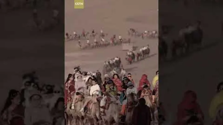 Preview image for the video "با آغاز تعطیلات تابستانی، «ترافیک شترها» دیده شد".