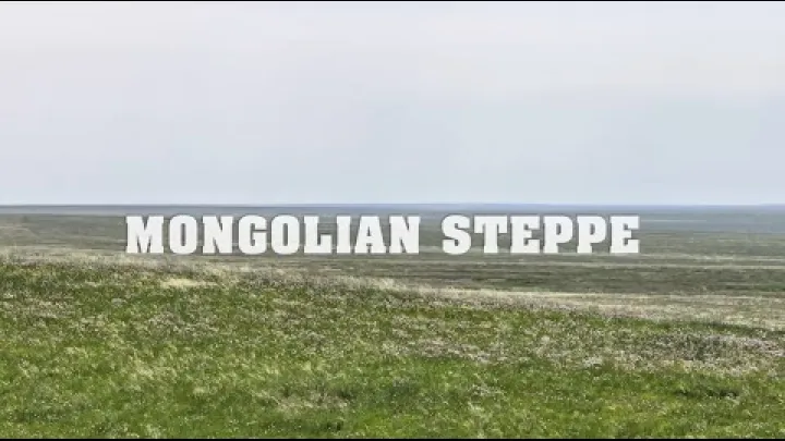 Preview image for the video "မွန်ဂိုးလီးယားနိုင်ငံ stepė – dokumentinis filmas".