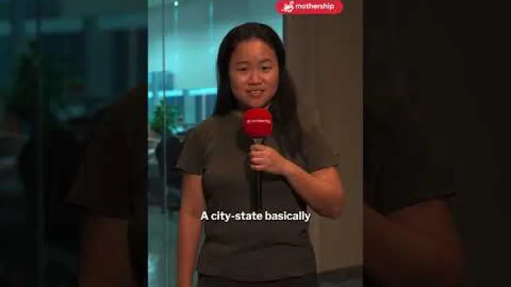 Preview image for the video "Singapore Explained: Singapore’s unique position as a city state".